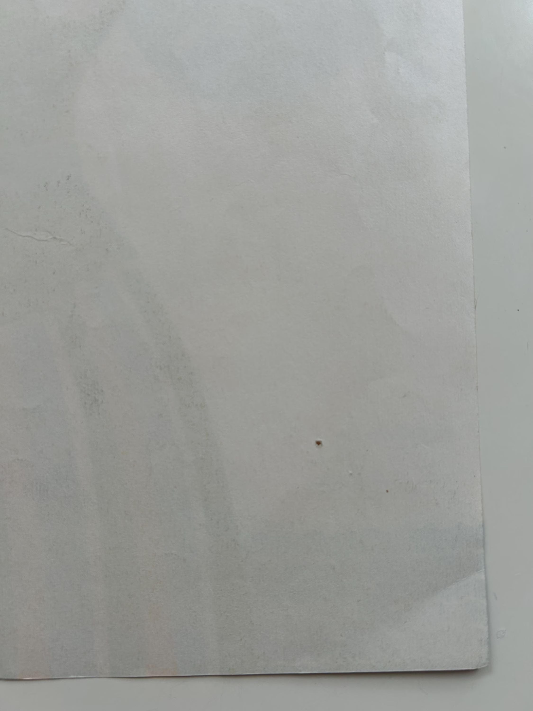 White paper with a small black mark on a white background