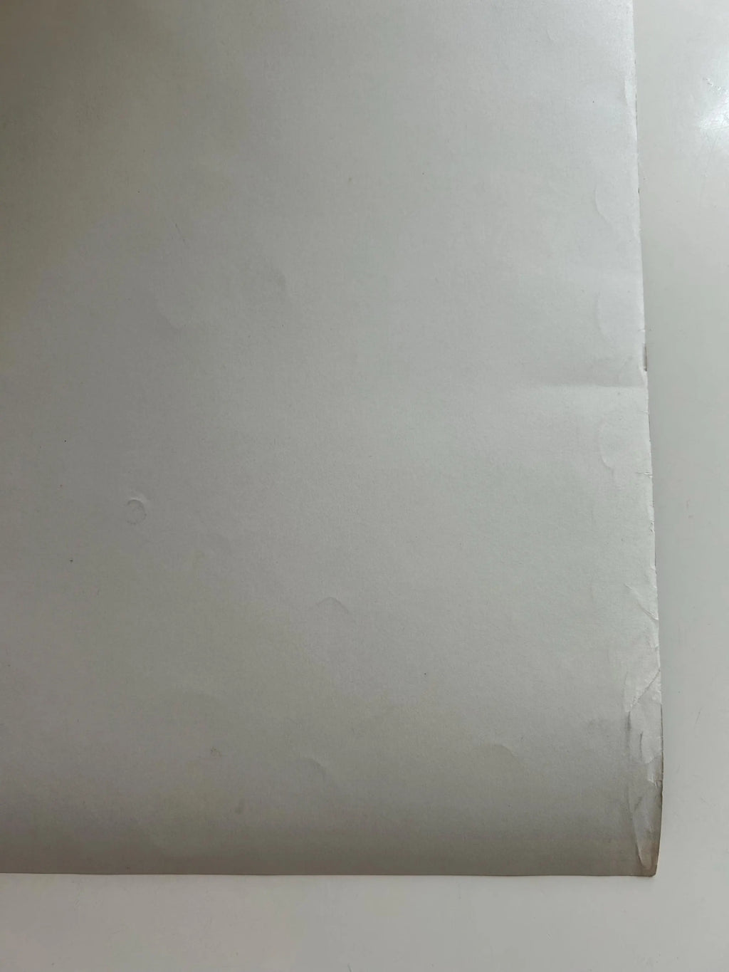 Close-up of a roll of white paper on a white background